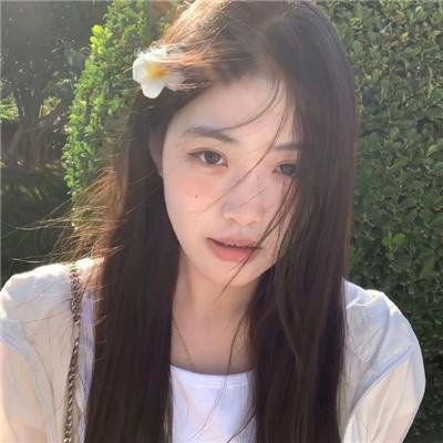 鬣狗之路