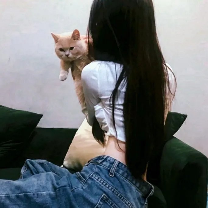 危鸡总动员