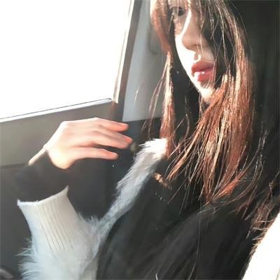 凤舞龙翔